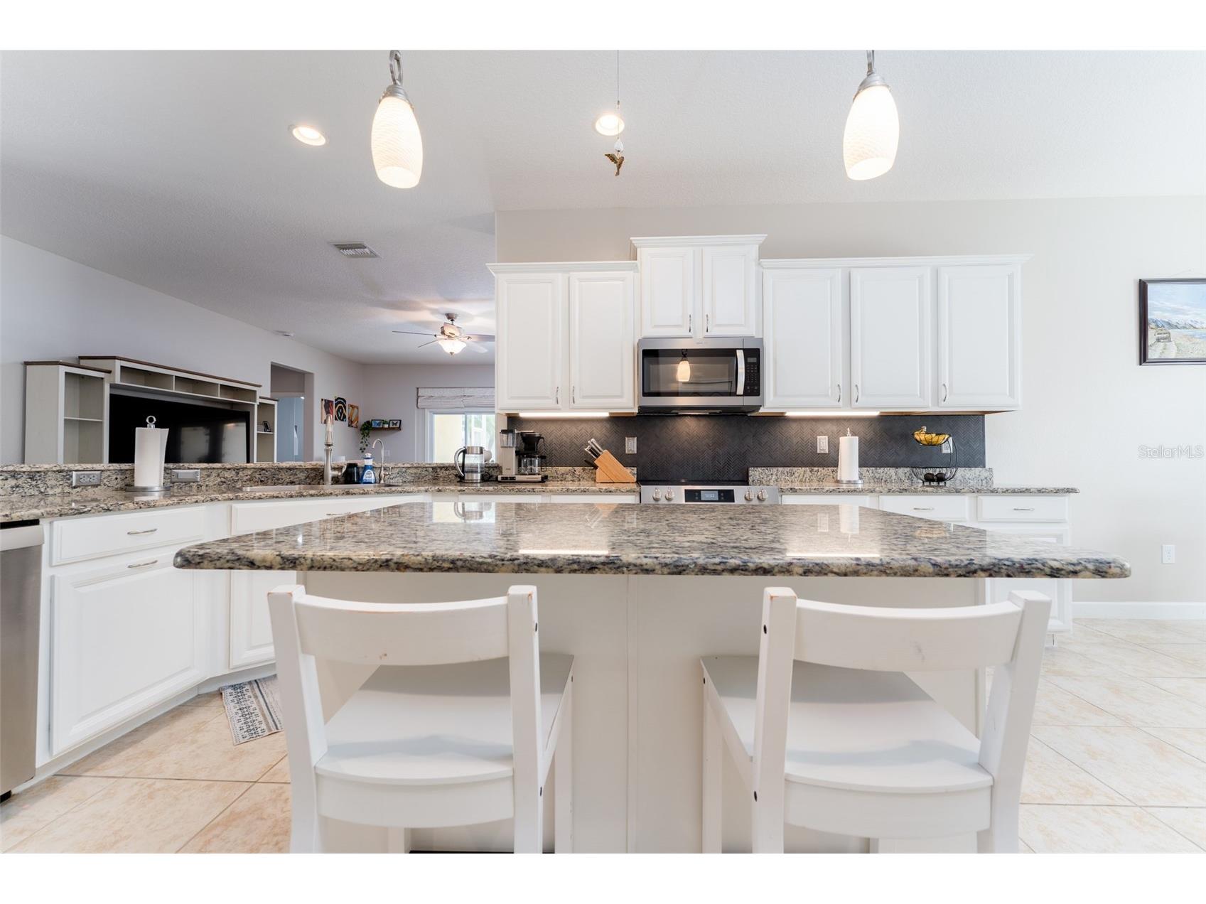 13208 Graham Yarden Drive Riverview FL 33579 TB8515699 image5