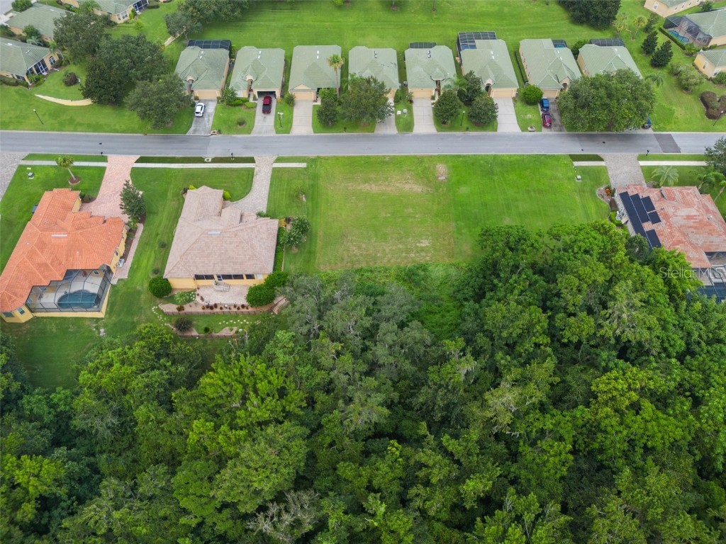 13208 Tradition Drive Dade City FL 33525 T3548060 image10