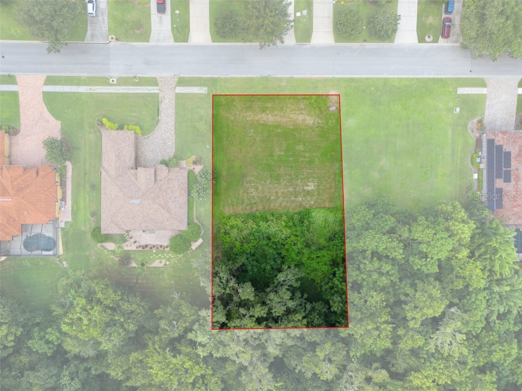 13208 Tradition Drive Dade City FL 33525 T3548060 image11