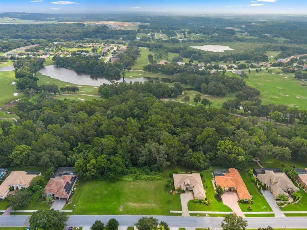 13208 Tradition Drive Dade City FL 33525 T3548060 image14