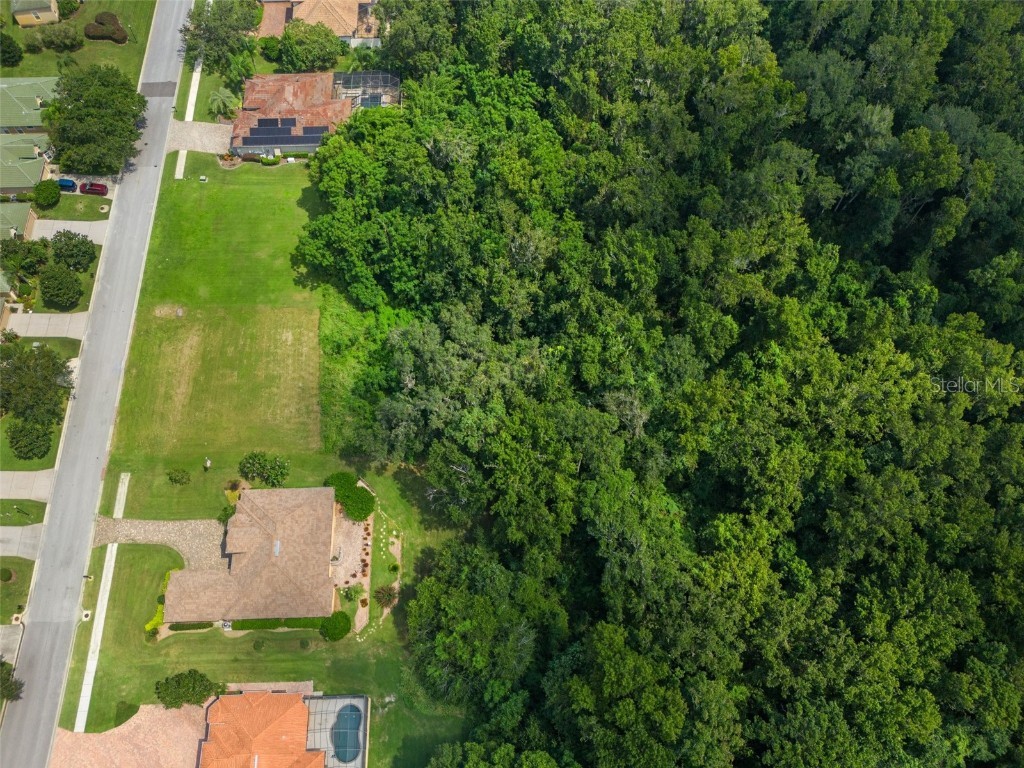 13208 Tradition Drive Dade City FL 33525 T3548060 image15