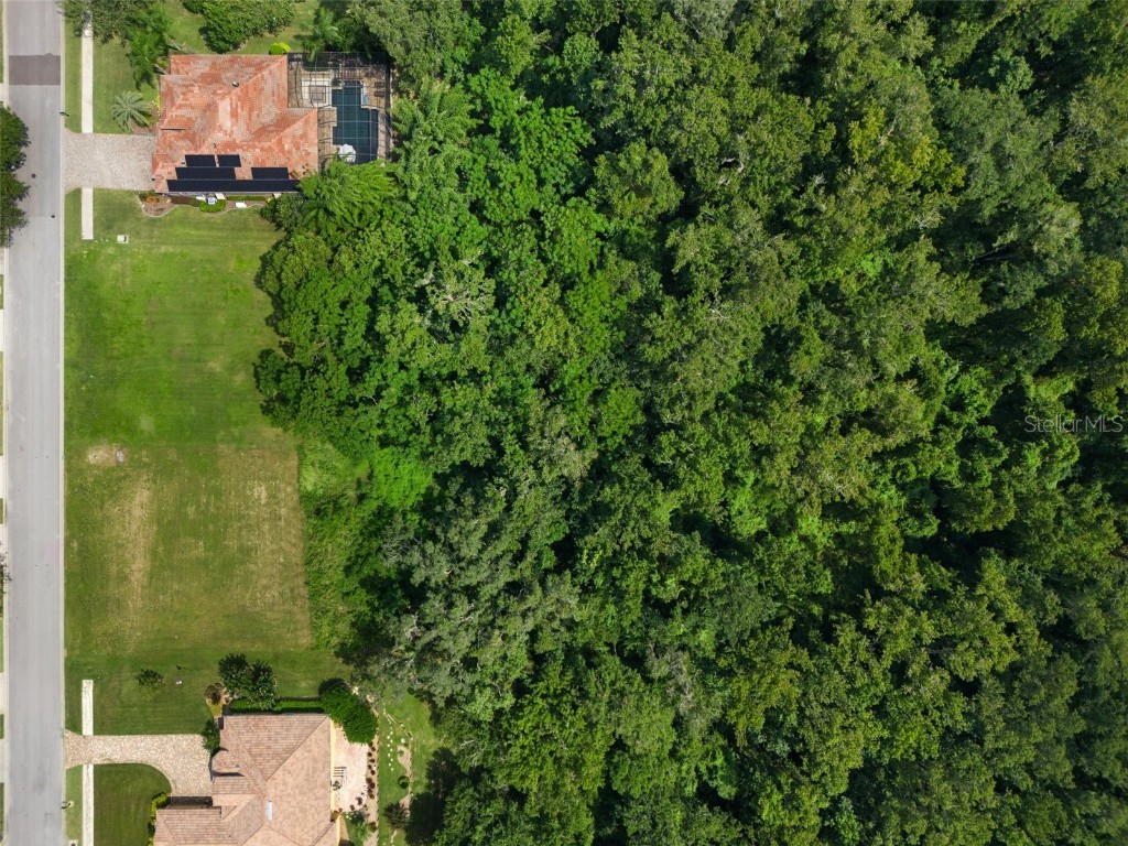 13208 Tradition Drive Dade City FL 33525 T3548060 image17