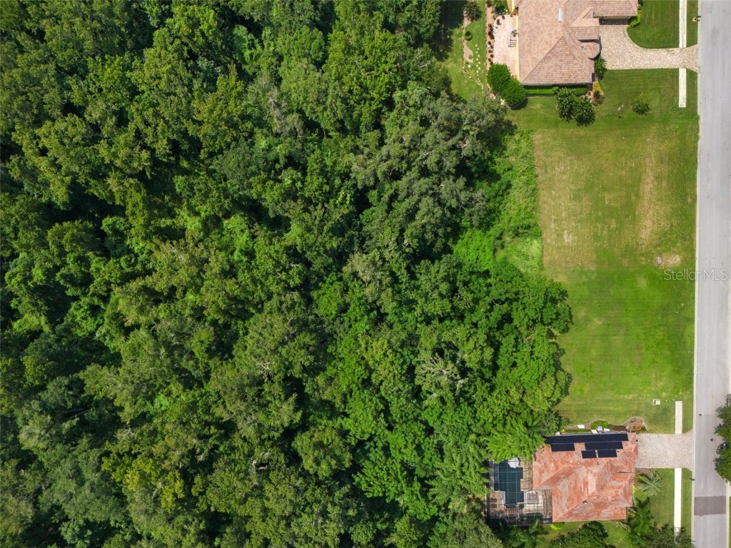 13208 Tradition Drive Dade City FL 33525 T3548060 image18