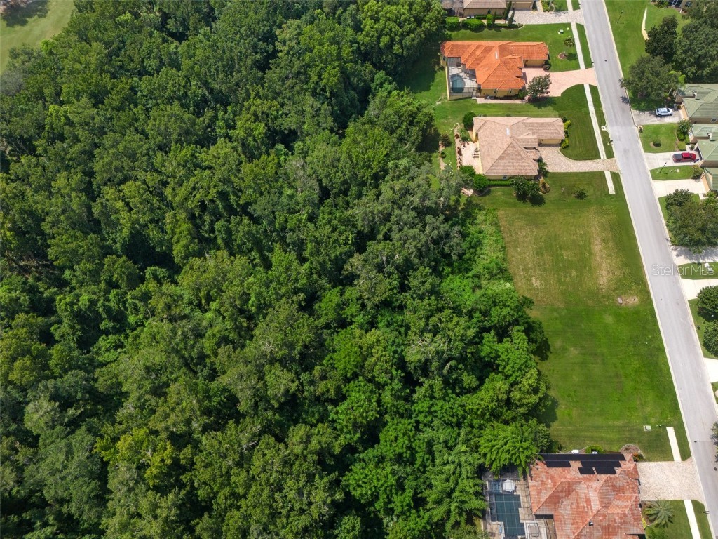 13208 Tradition Drive Dade City FL 33525 T3548060 image19