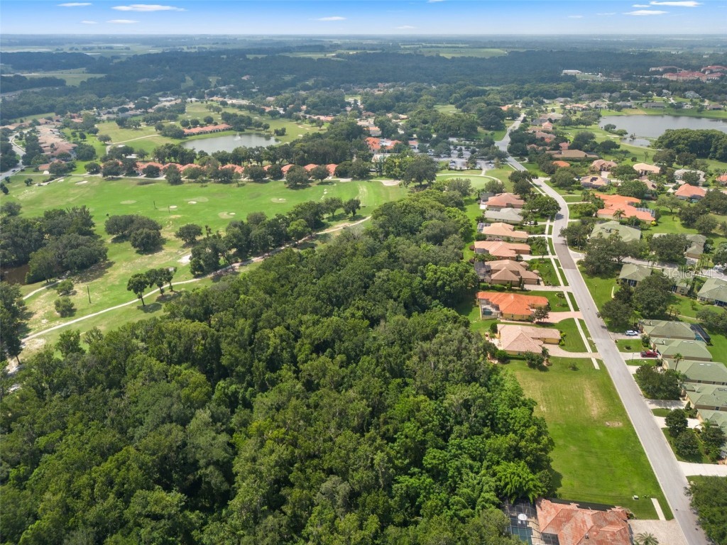 13208 Tradition Drive Dade City FL 33525 T3548060 image20