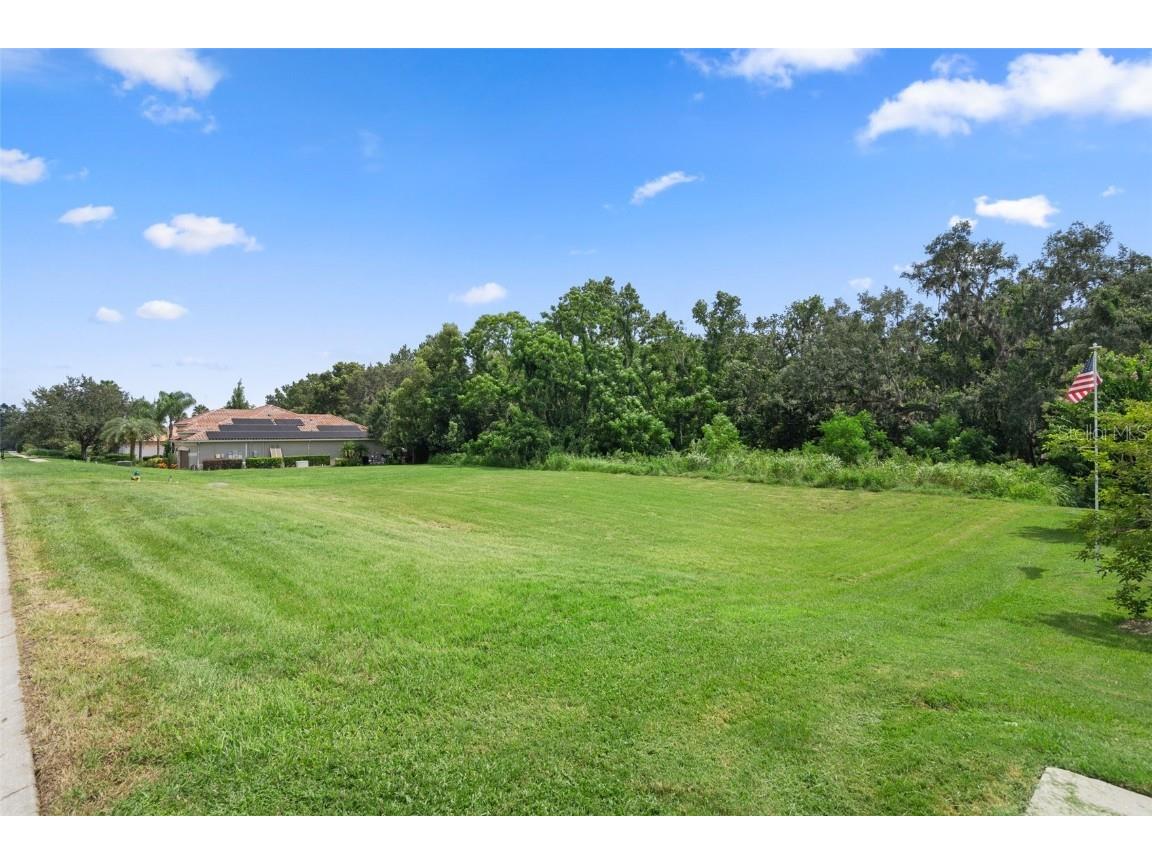 13208 Tradition Drive Dade City FL 33525 T3548060 image6