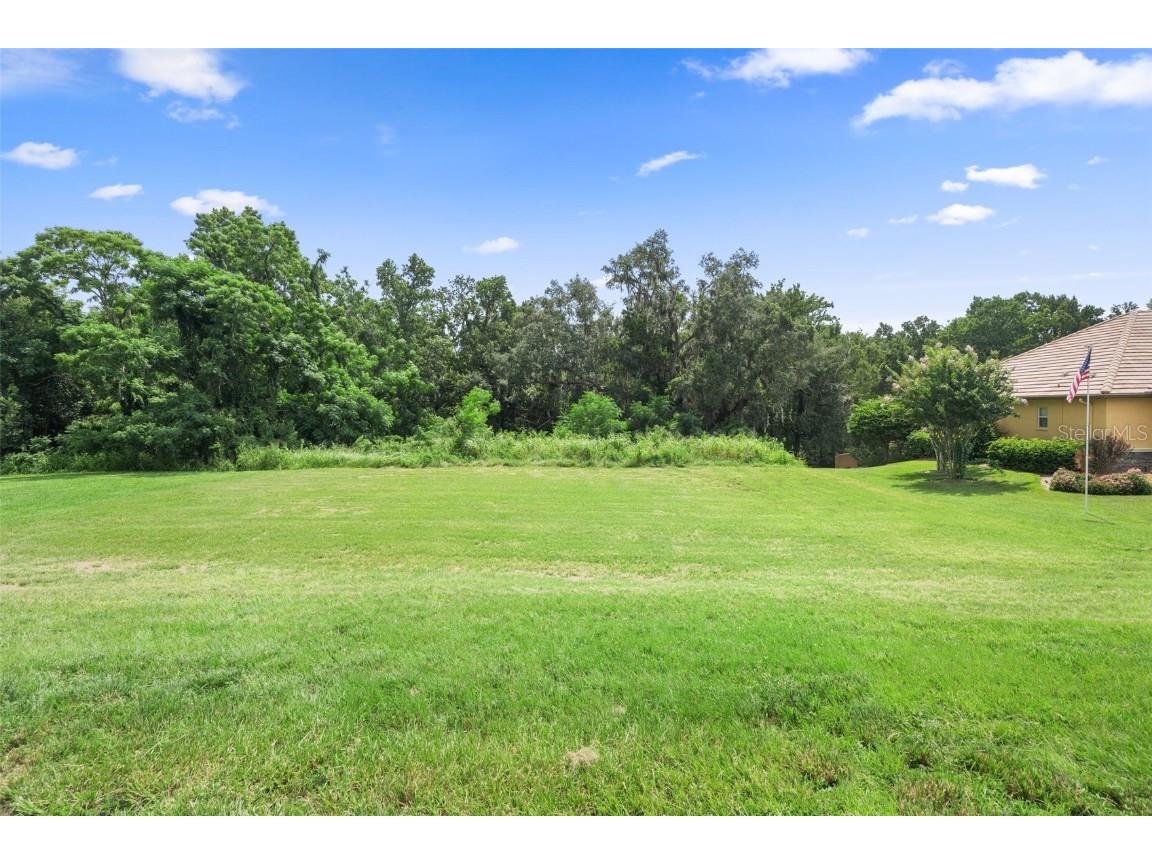 13208 Tradition Drive Dade City FL 33525 T3548060 image7