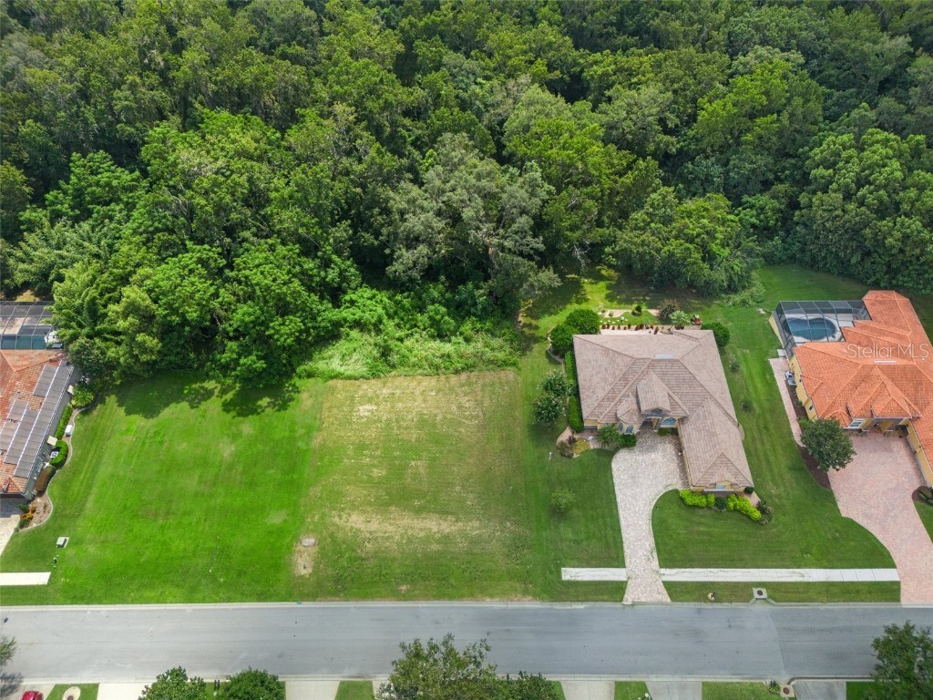 13208 Tradition Drive Dade City FL 33525 T3548060 image8