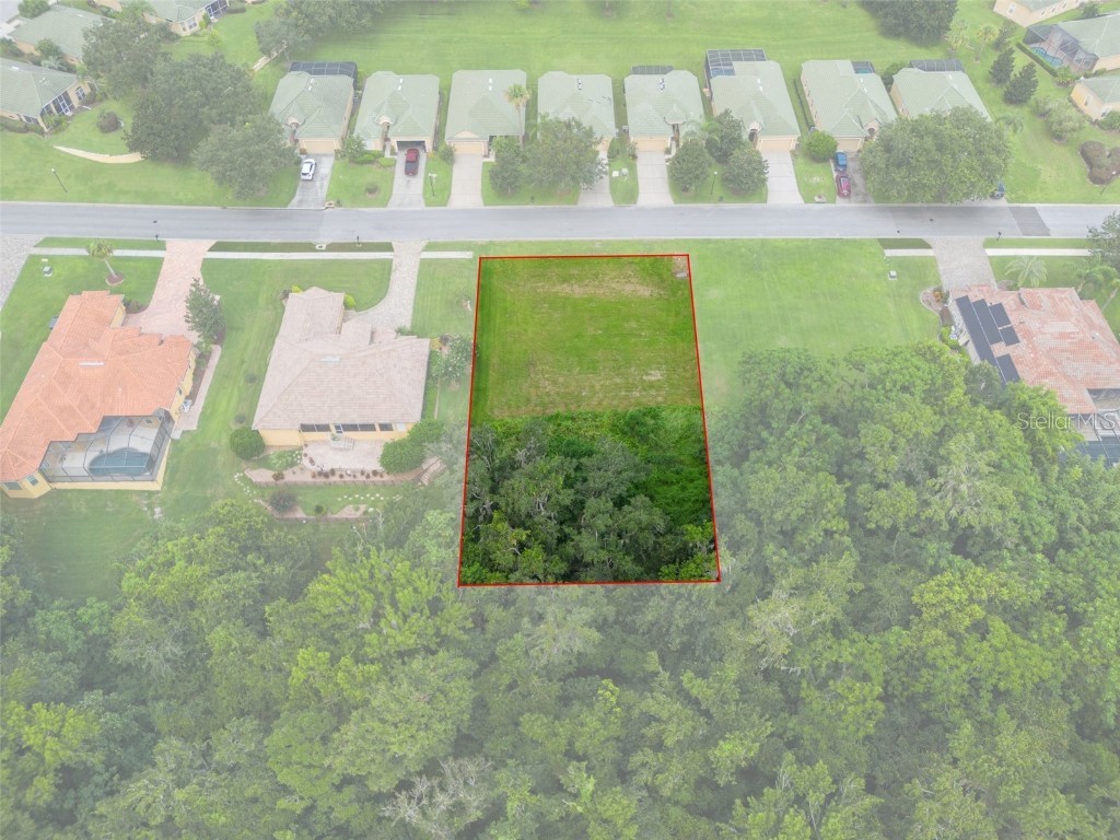 13208 Tradition Drive Dade City FL 33525 T3548060 image9