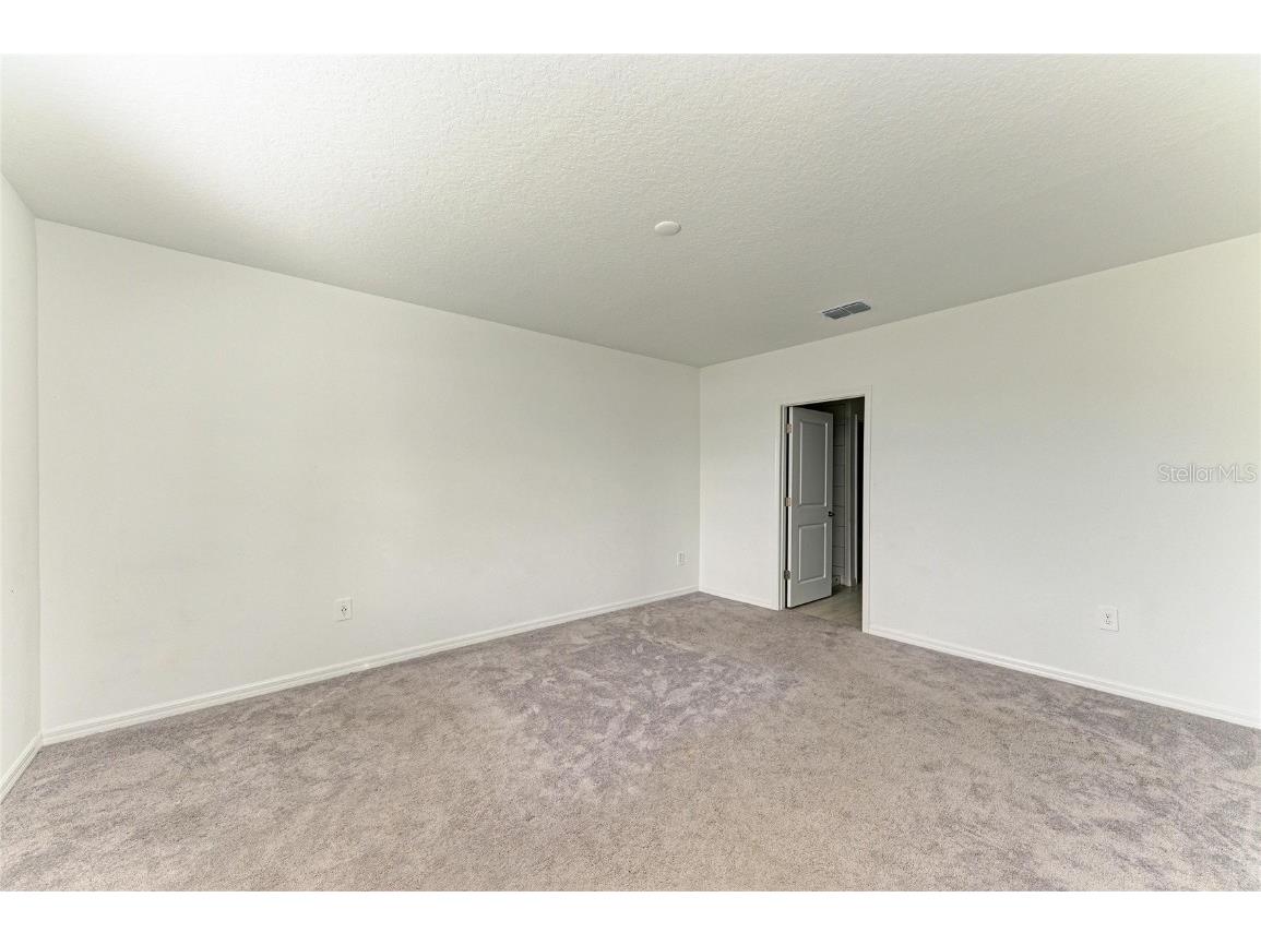 13209 Sunset Sapphire Circle Parrish FL 34219 A4674900 image10