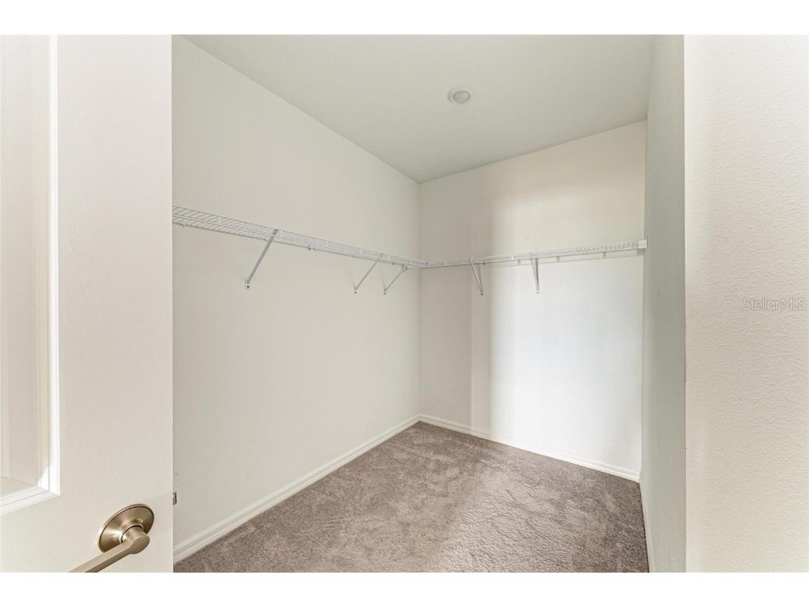 13209 Sunset Sapphire Circle Parrish FL 34219 A4674900 image14