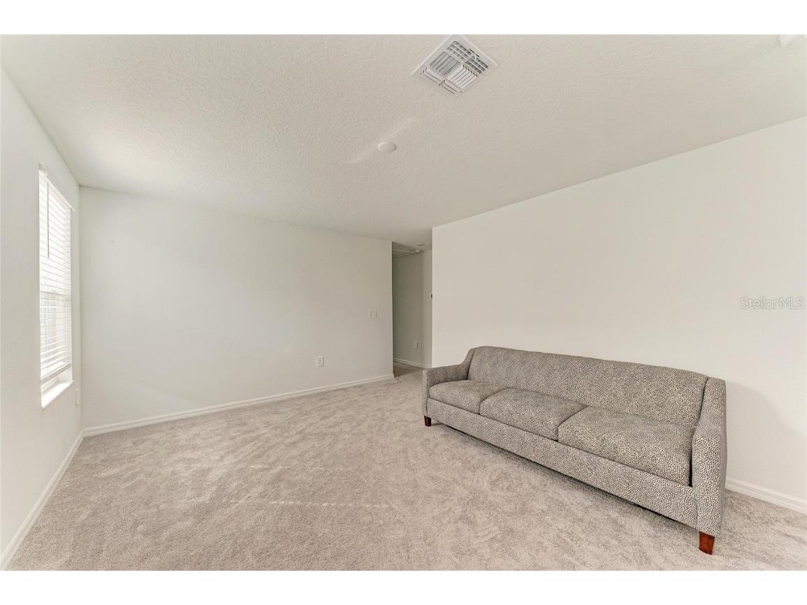 13209 Sunset Sapphire Circle Parrish FL 34219 A4674900 image15