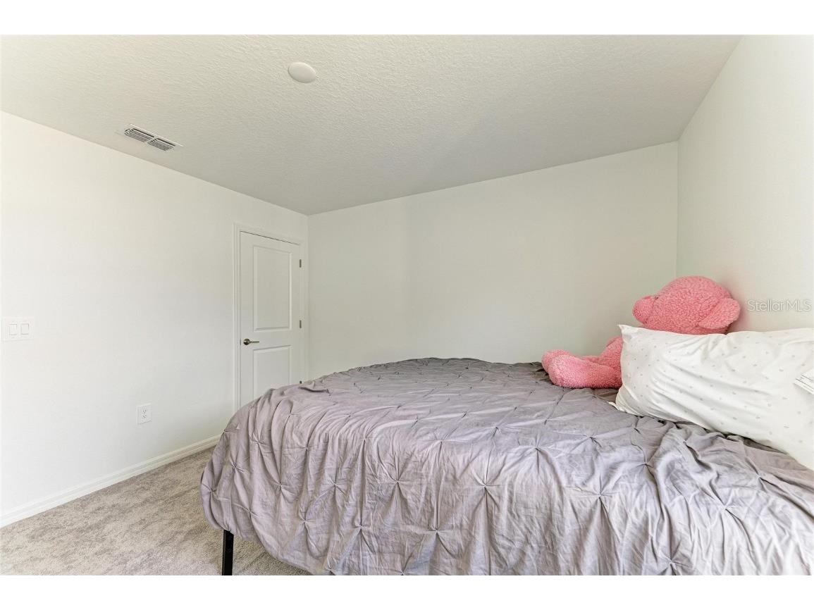 13209 Sunset Sapphire Circle Parrish FL 34219 A4674900 image26