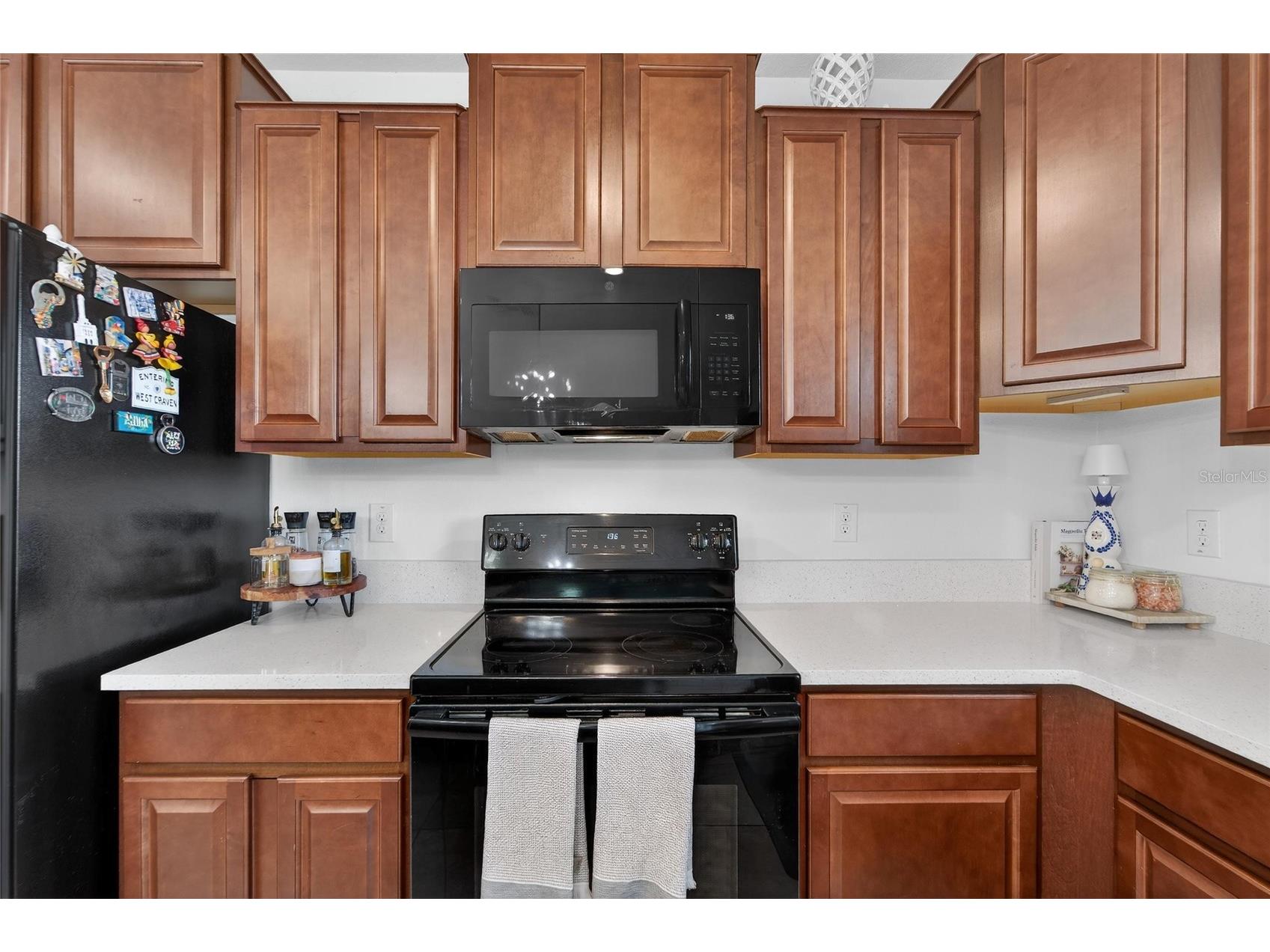 13209 Wildflower Meadow Drive Riverview FL 33579 TB8489189 image28