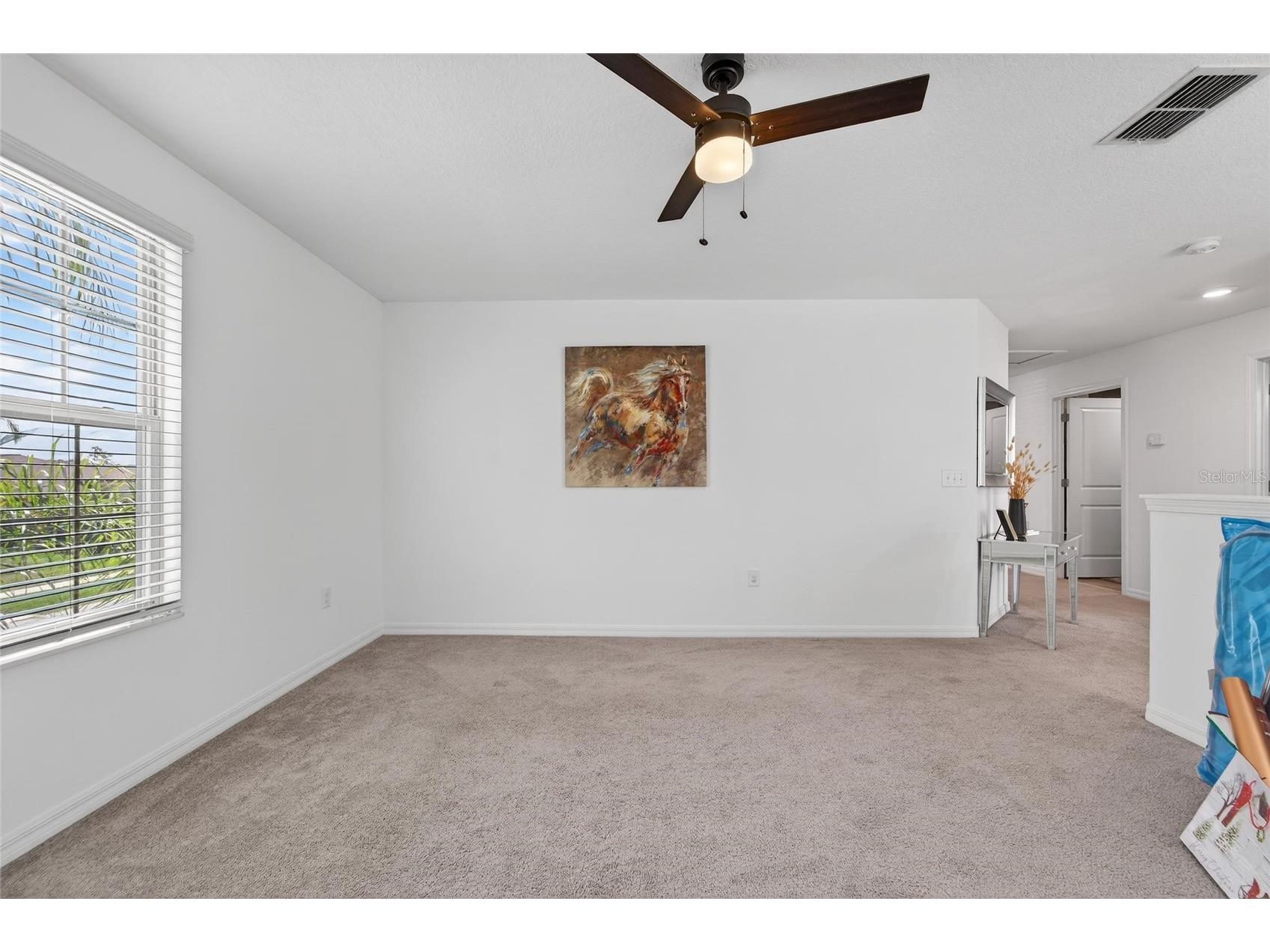 13209 Wildflower Meadow Drive Riverview FL 33579 TB8489189 image32