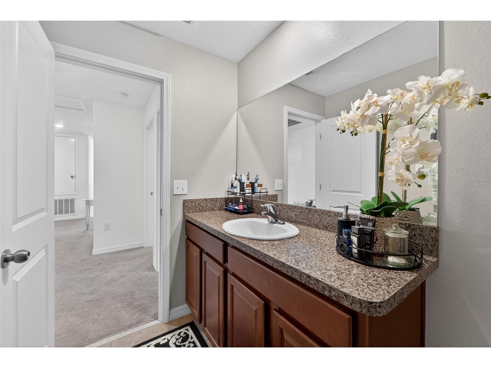 13209 Wildflower Meadow Drive Riverview FL 33579 TB8489189 image46