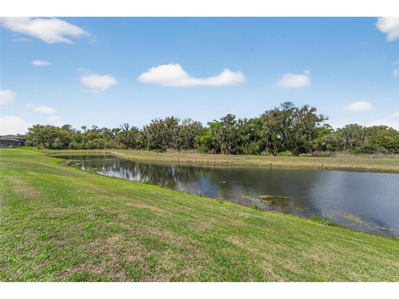 13209 Wildflower Meadow Drive Riverview FL 33579 TB8489189 image8