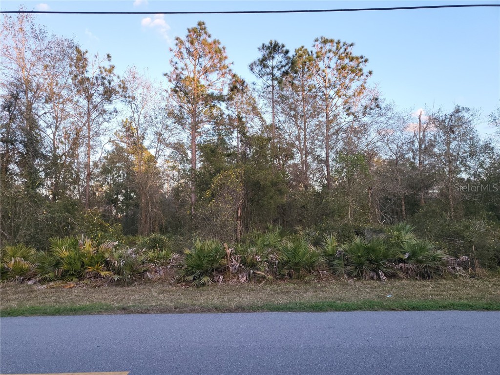 1321 Buckles Road Pierson FL 32180 V4928520 image1