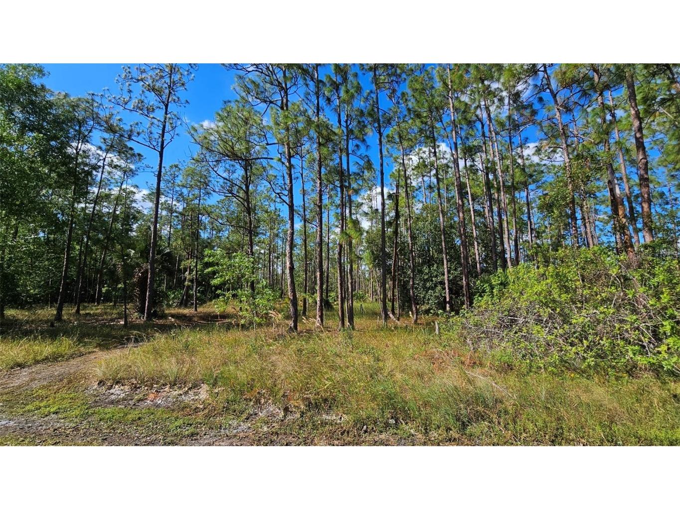 1321 North Avenue Lehigh Acres FL 33972 A4627091 image1