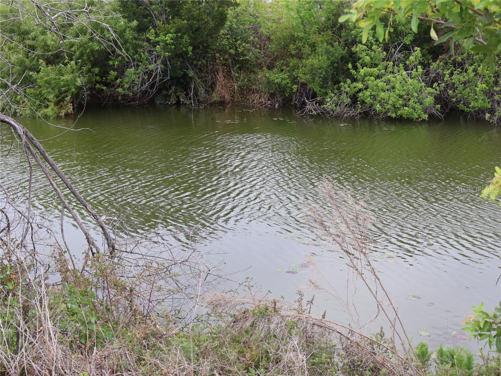 1321 SW 21st Avenue Cape Coral FL 33991 - CARNAVAL CANAL A4674592 image2