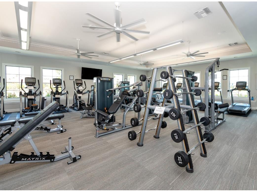 13210 Ipolita Street Venice FL 34293 N6141291 image59