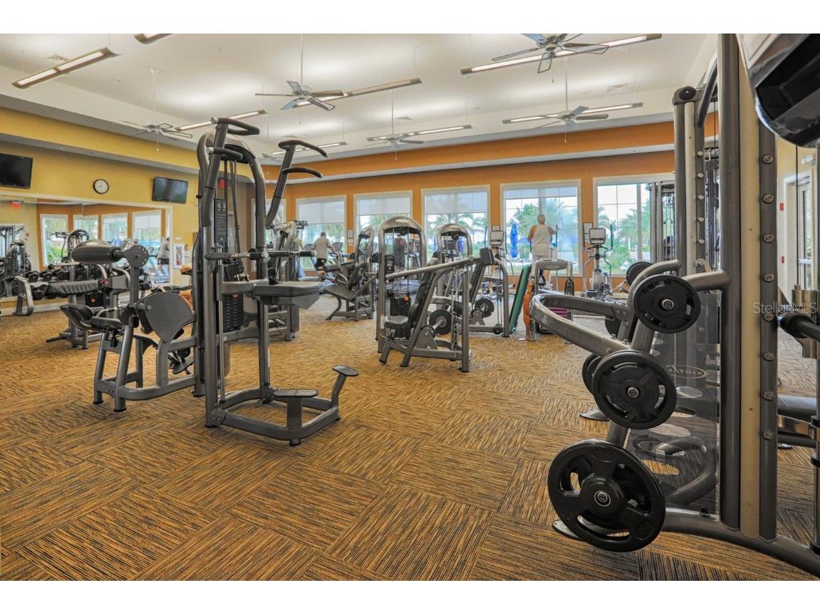 13210 Ipolita Street Venice FL 34293 N6141291 image60