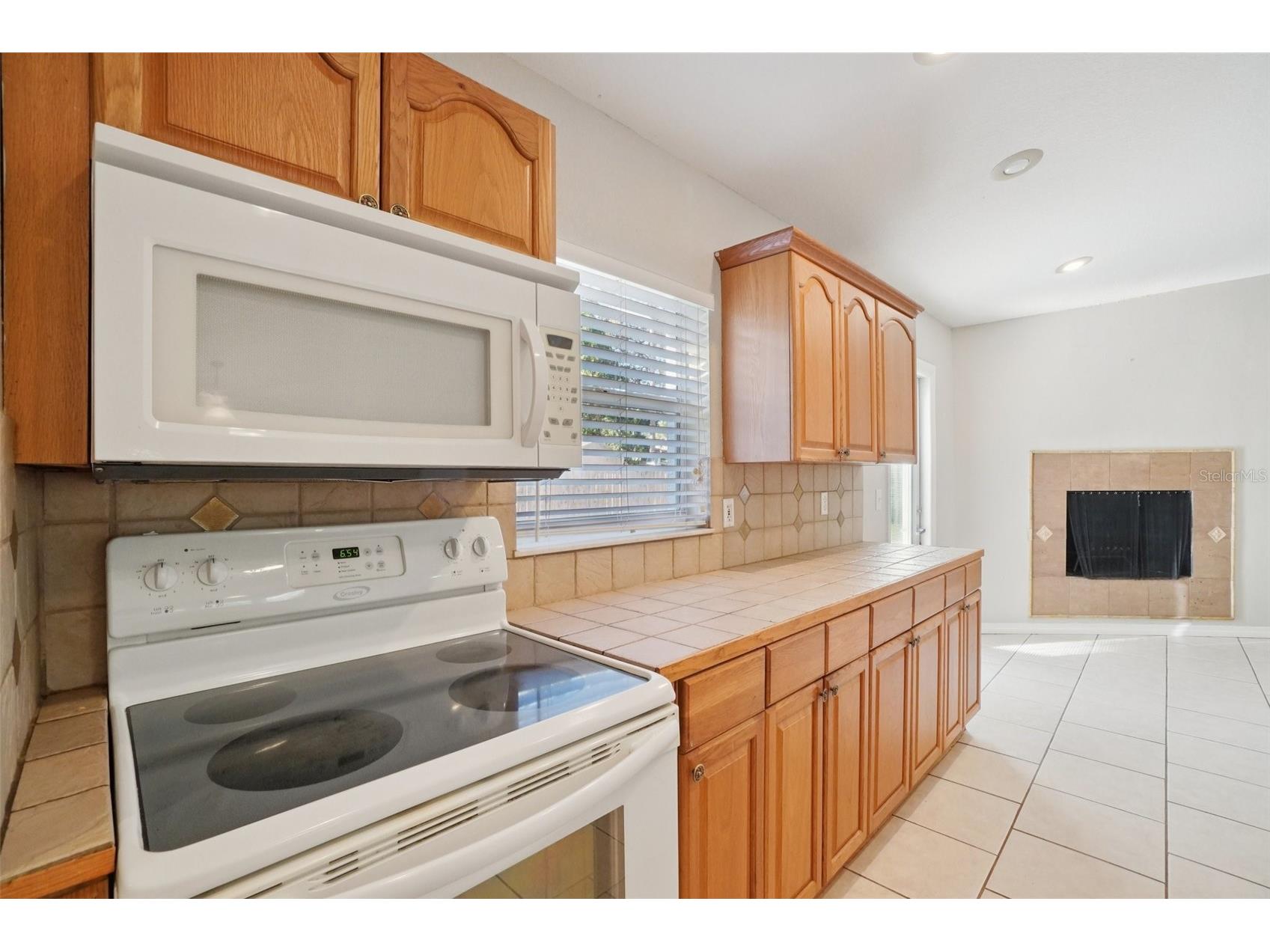 13210 Maple Street Odessa FL 33556 TB8469468 image15