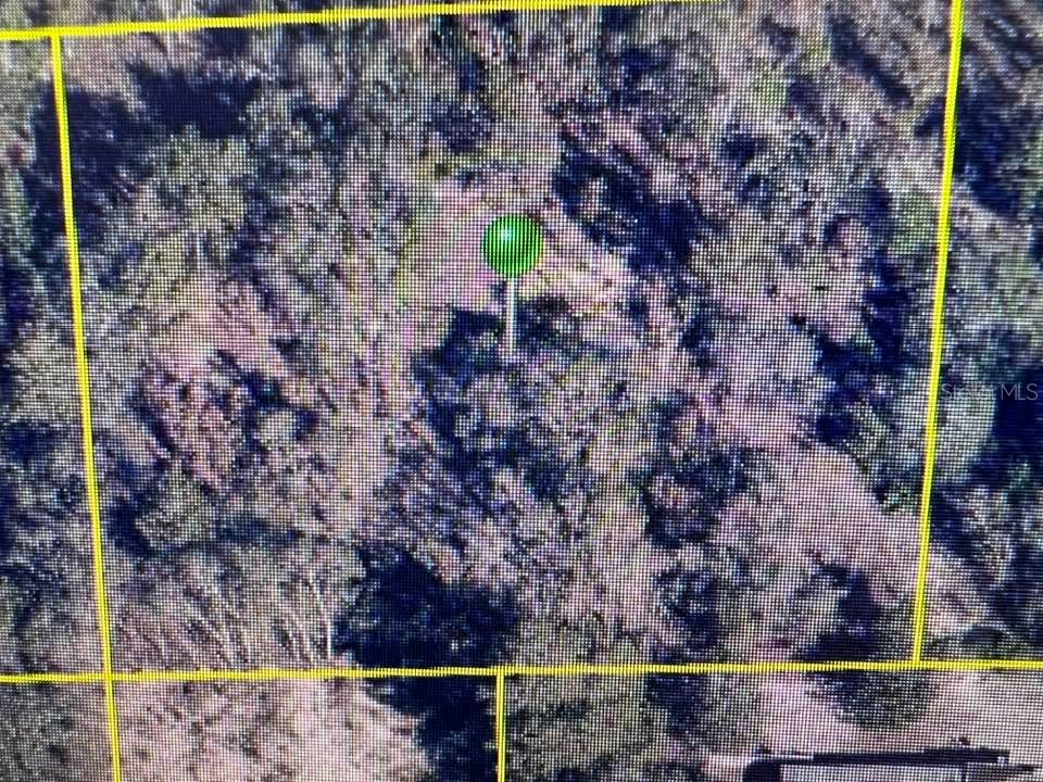 13210 Spruce Grouse Avenue Brooksville FL 34614 TB8330589 image1