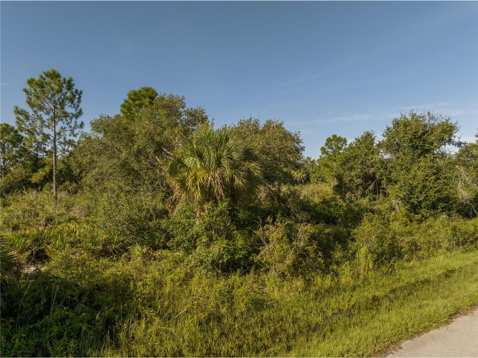 13211 Chiminiello Drive Port Charlotte FL 33953 A4681703 image12