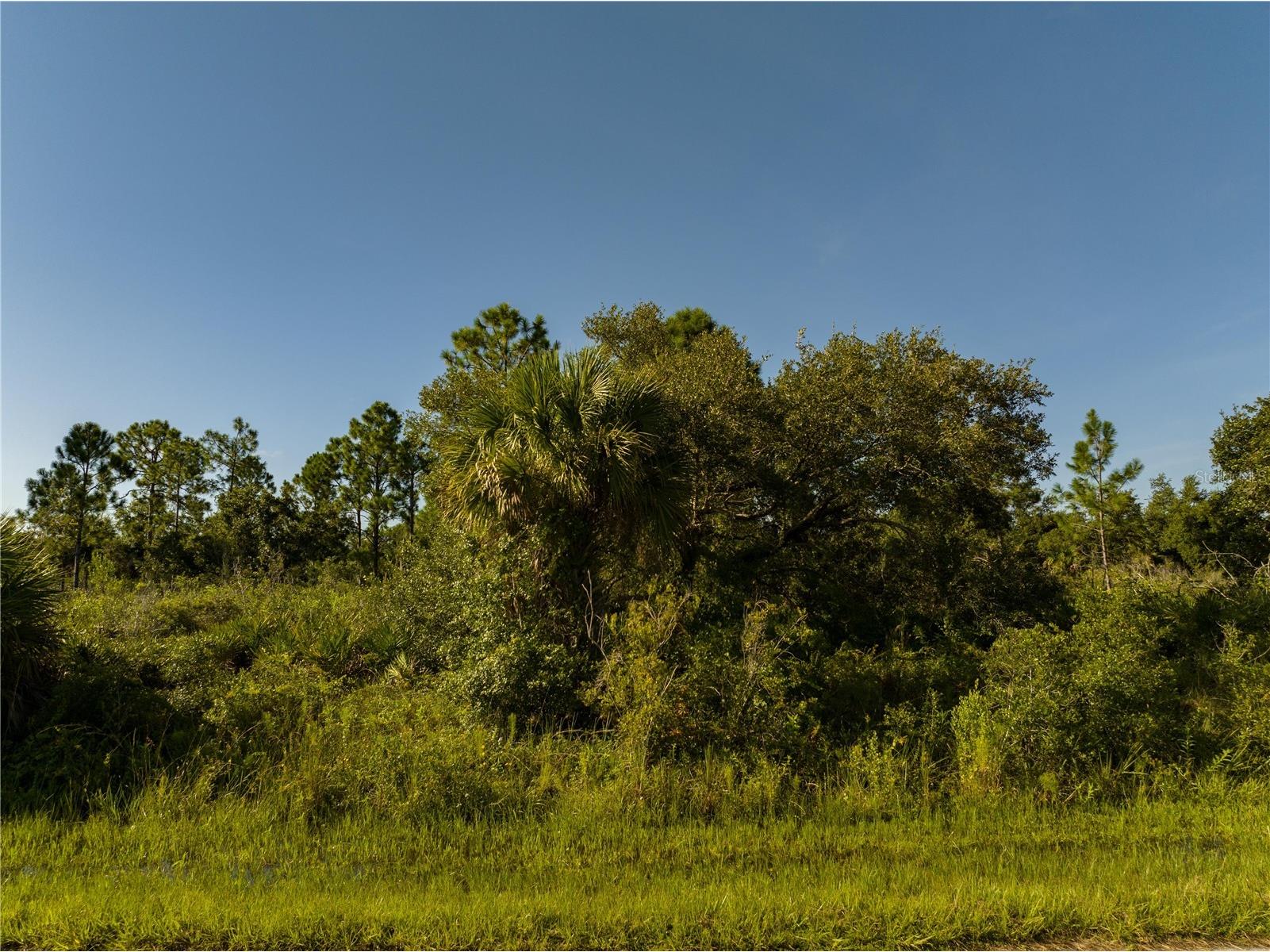 13211 Chiminiello Drive Port Charlotte FL 33953 A4681703 image13