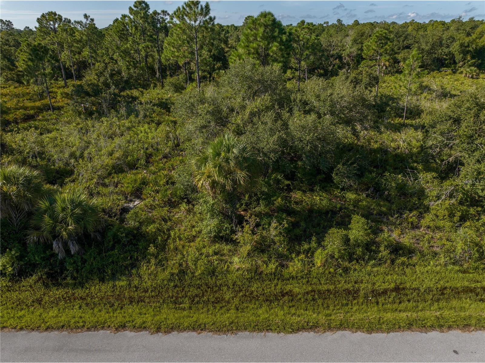 13211 Chiminiello Drive Port Charlotte FL 33953 A4681703 image14