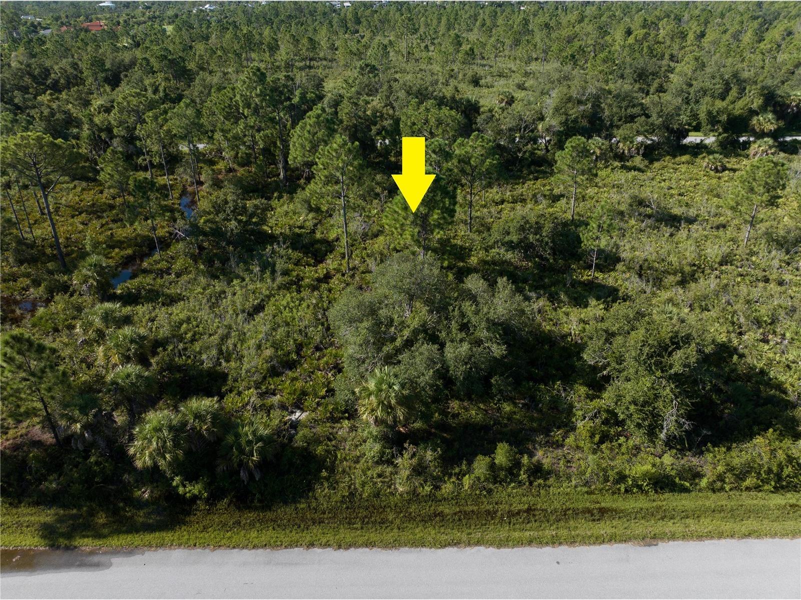 13211 Chiminiello Drive Port Charlotte FL 33953 A4681703 image3