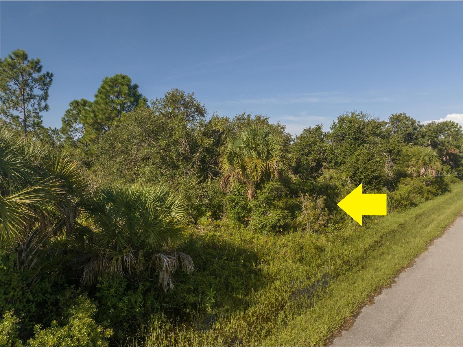 13211 Chiminiello Drive Port Charlotte FL 33953 A4681703 image6