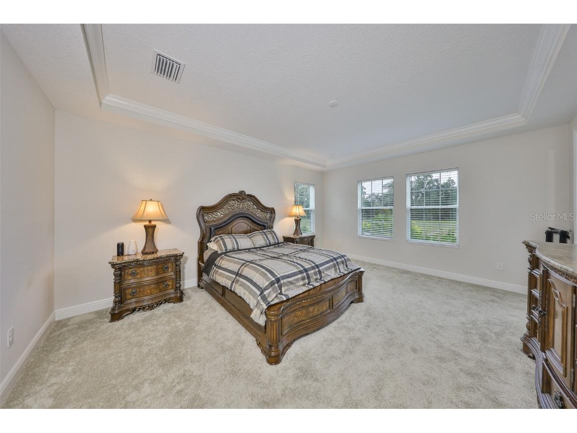 13211 Twin Bridges Drive Riverview FL 33579 TB8437234 image21