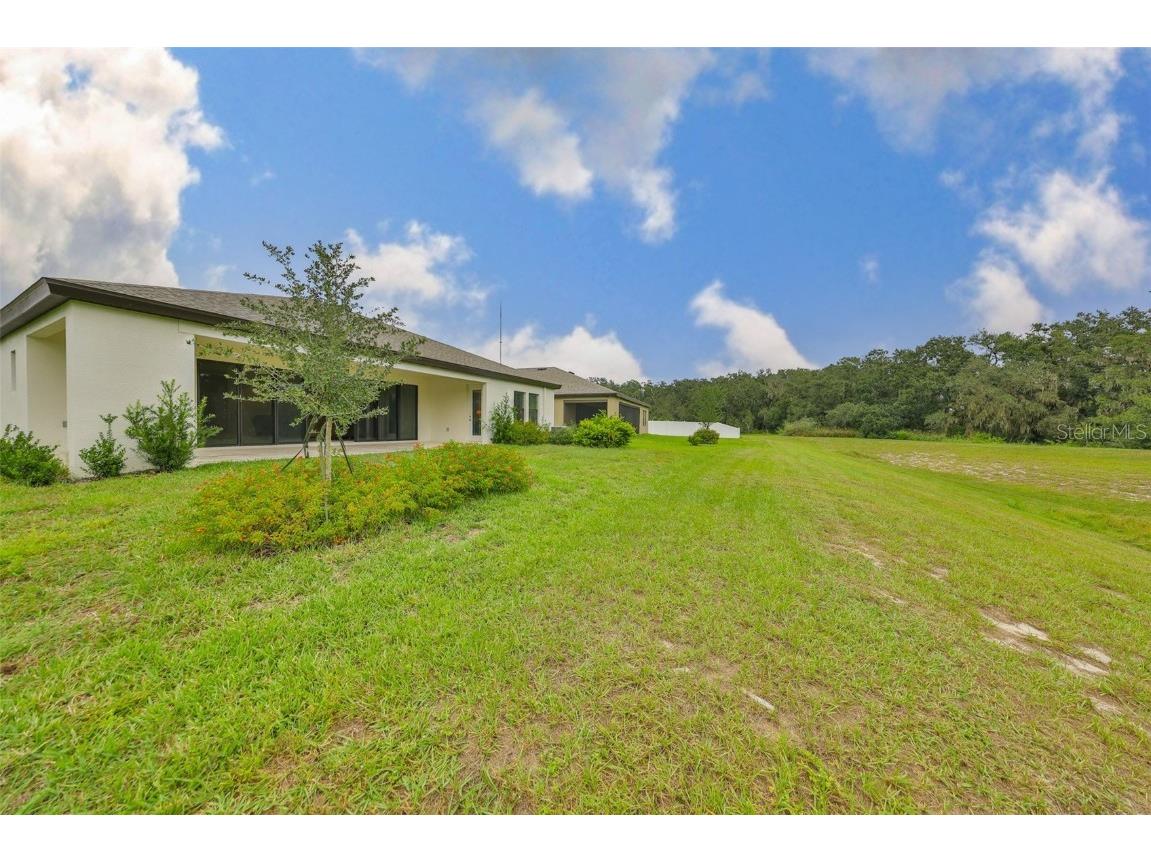 13211 Twin Bridges Drive Riverview FL 33579 TB8437234 image38