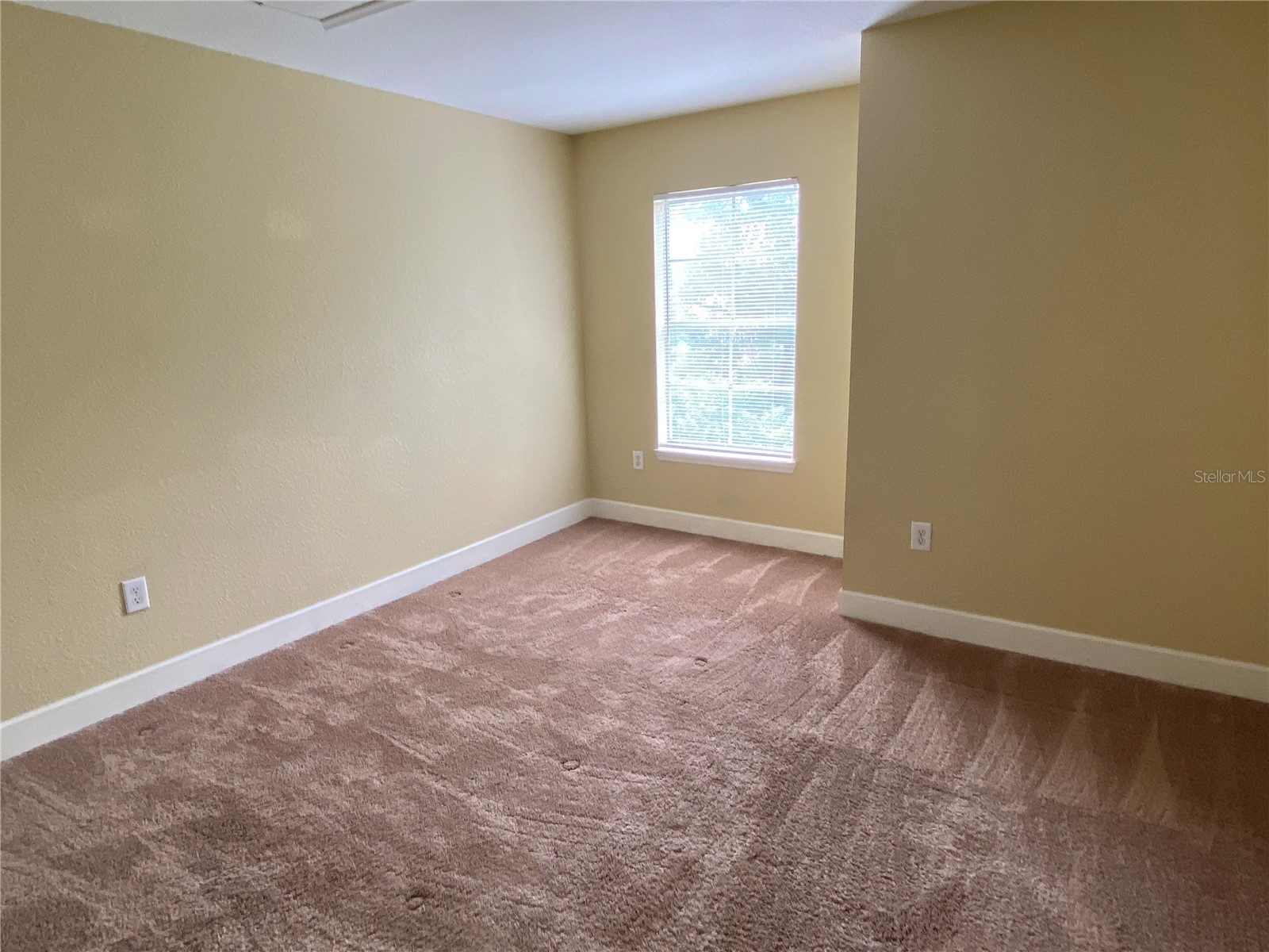 13212 Arbor Isle Drive #201 Tampa FL 33637 TB8511804 image11