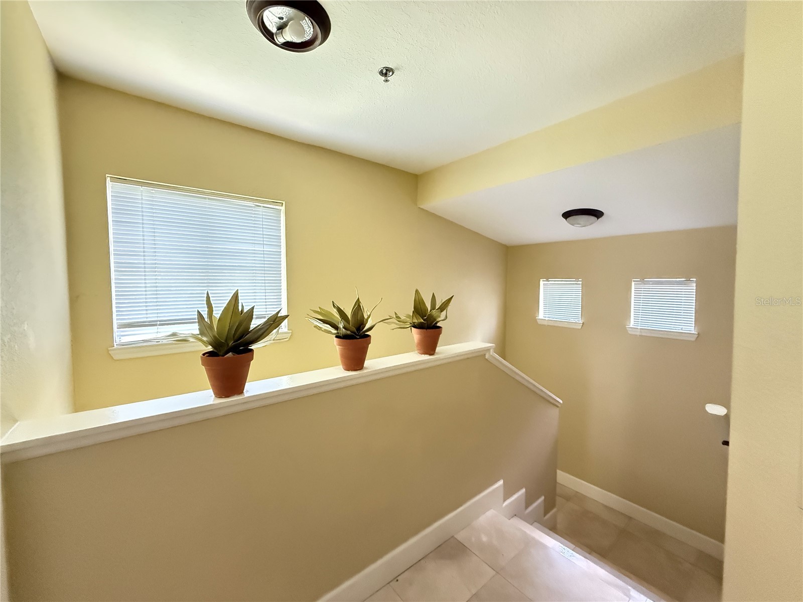 13212 Arbor Isle Drive #201 Tampa FL 33637 TB8511804 image16
