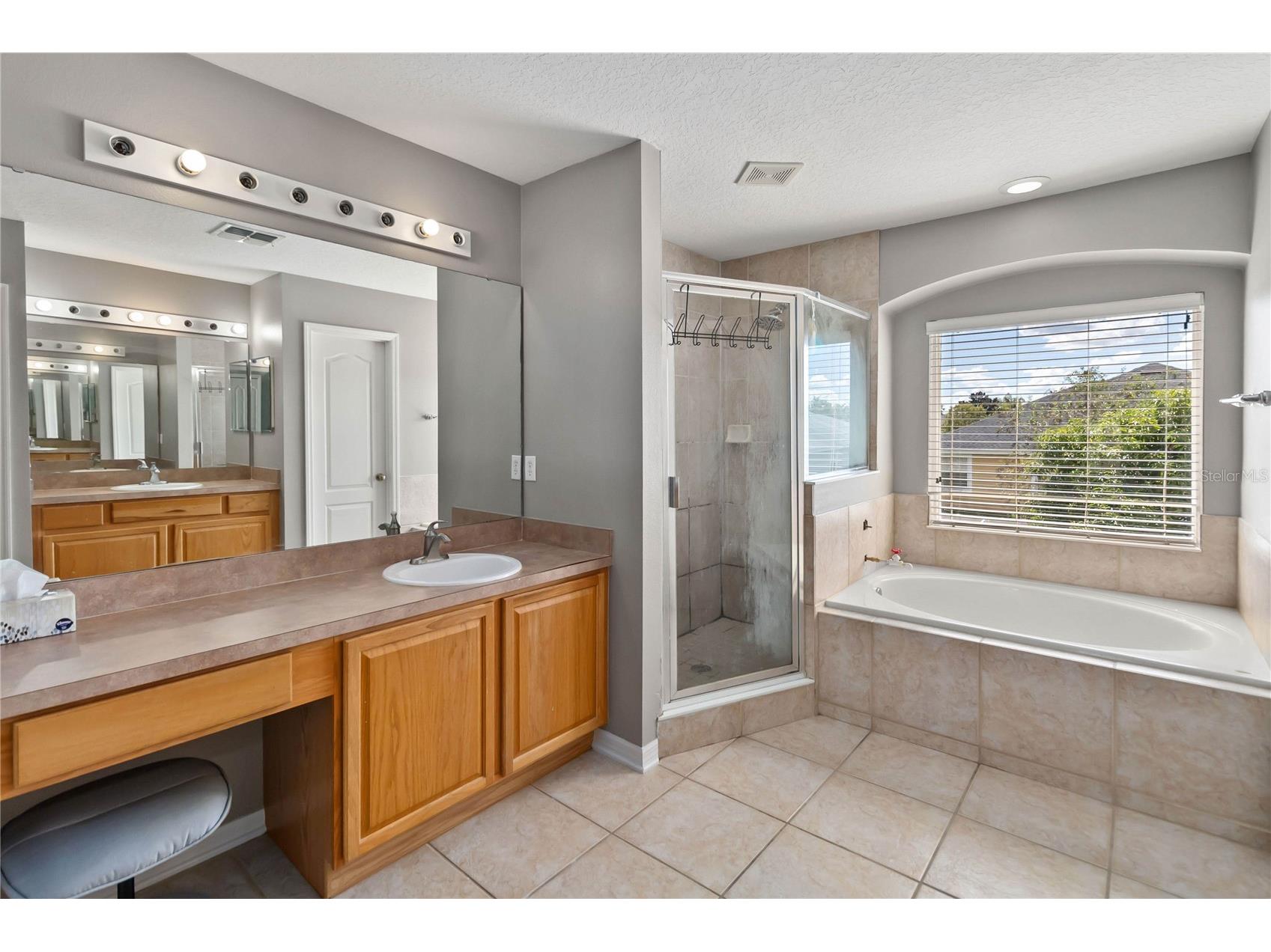 13212 Social Lane Winter Garden FL 34787 O6346804 image25