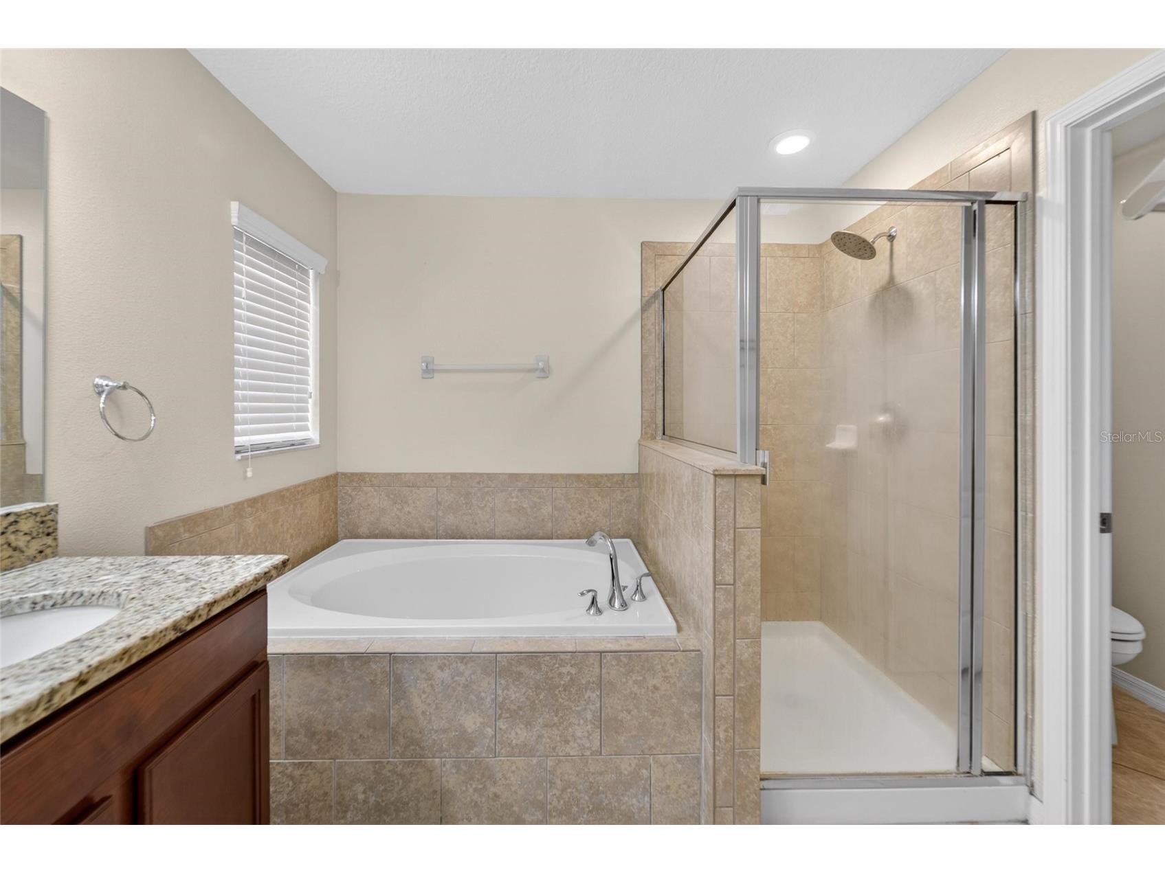 13214 Royal Pines Avenue Riverview FL 33579 TB8496727 image22