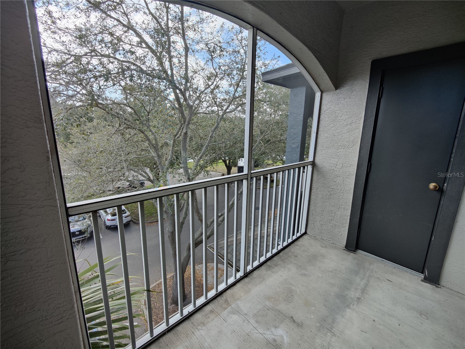 13215 Sanctuary Cove Drive #301 Temple Terrace FL 33637 S5144436 image16