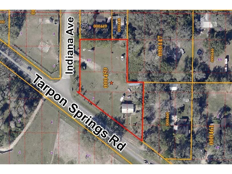 13215 Tarpon Springs Road Odessa FL 33556 U8183807 image1