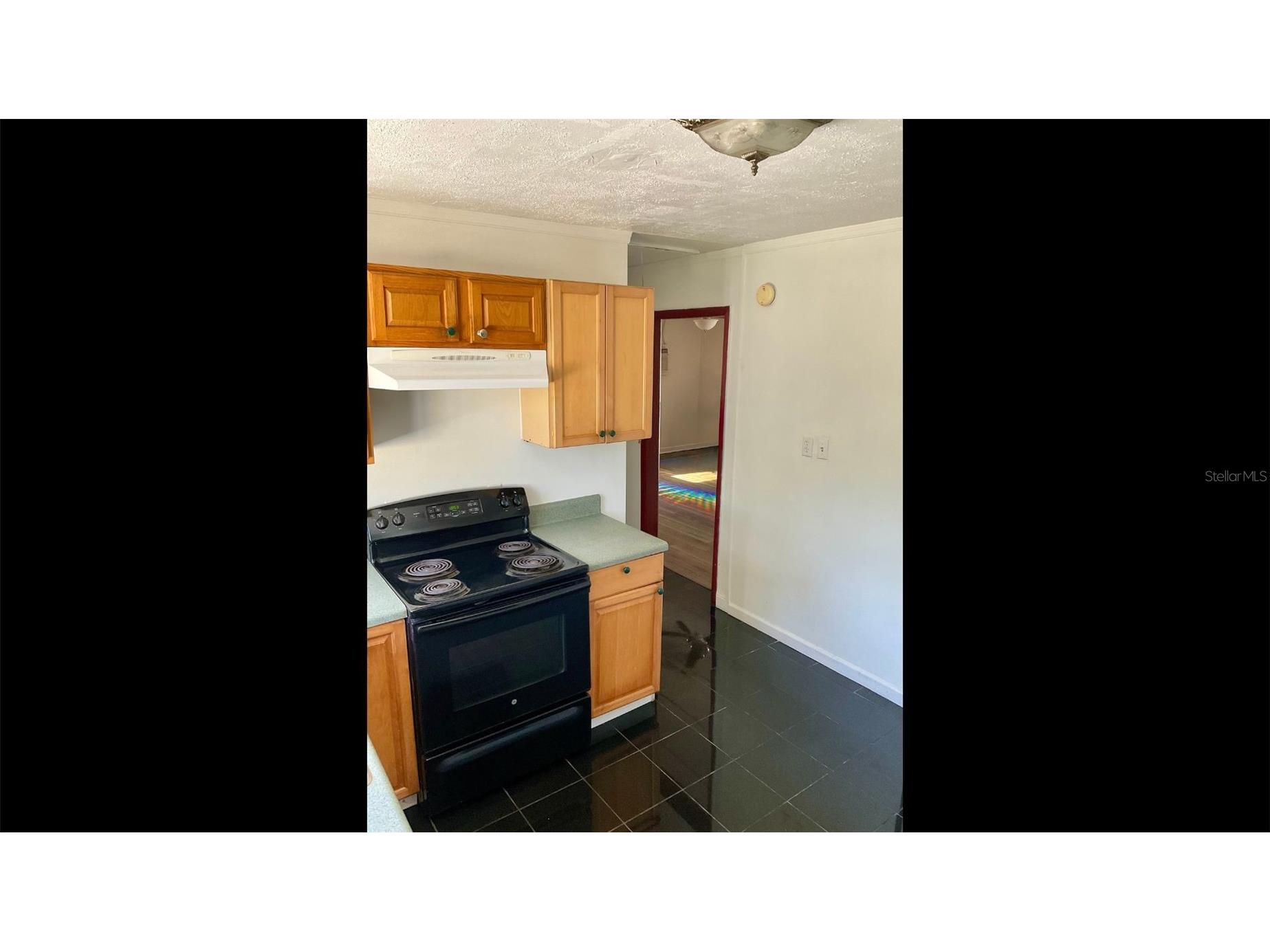 13216 Curley Road Dade City FL 33525 TB8468704 image23