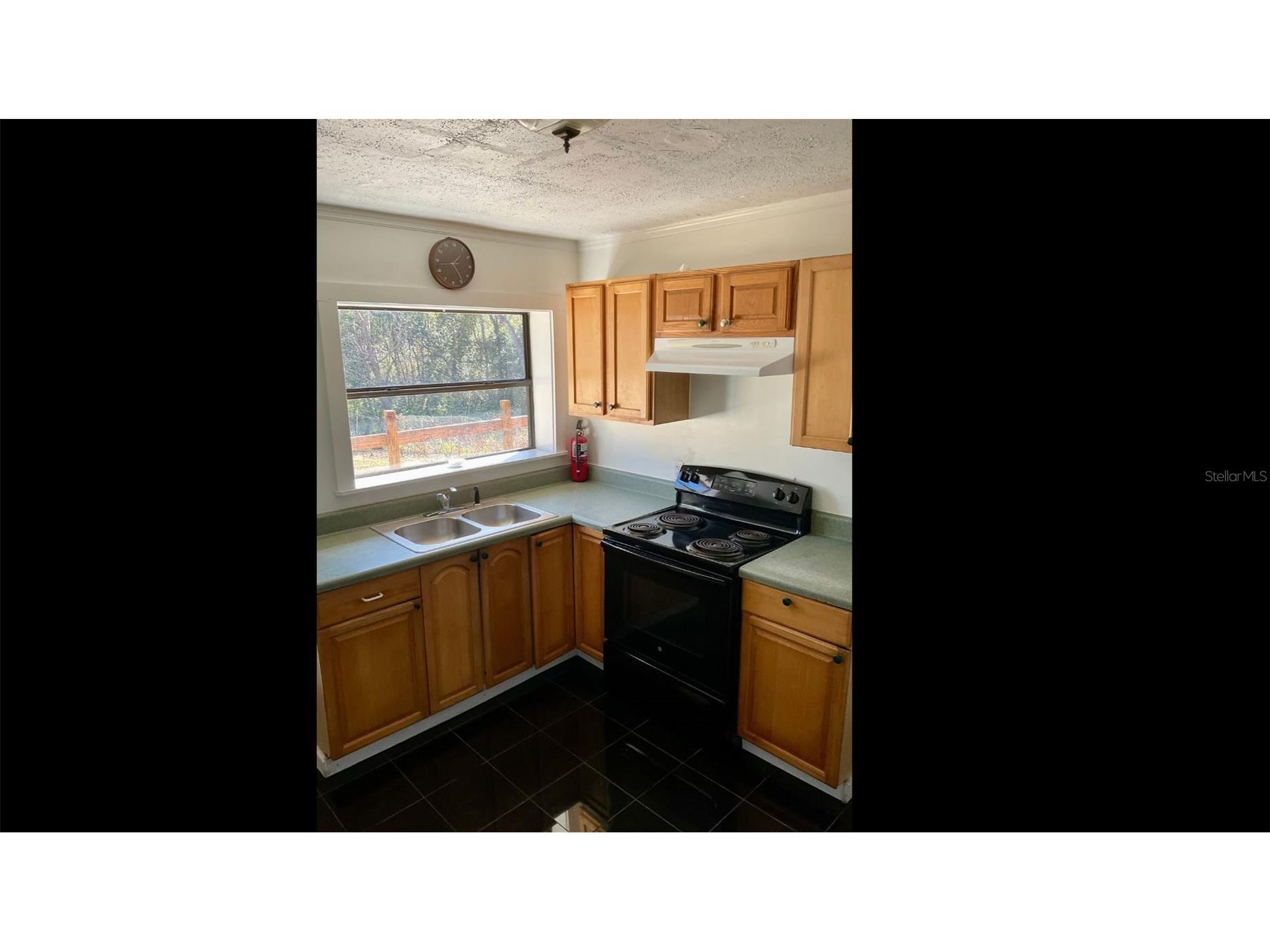 13216 Curley Road Dade City FL 33525 TB8468704 image24