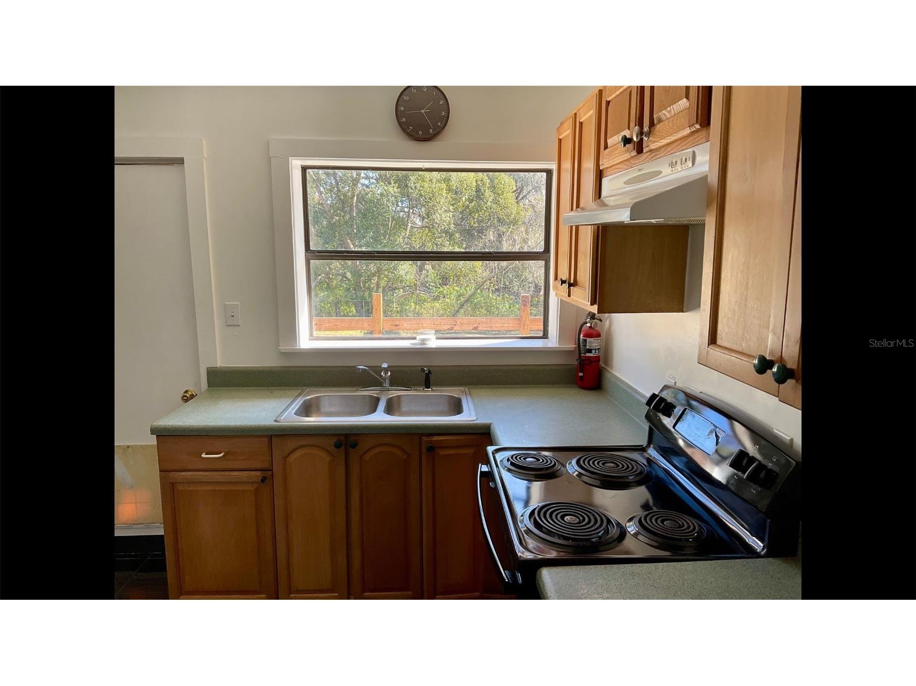 13216 Curley Road Dade City FL 33525 TB8468704 image30