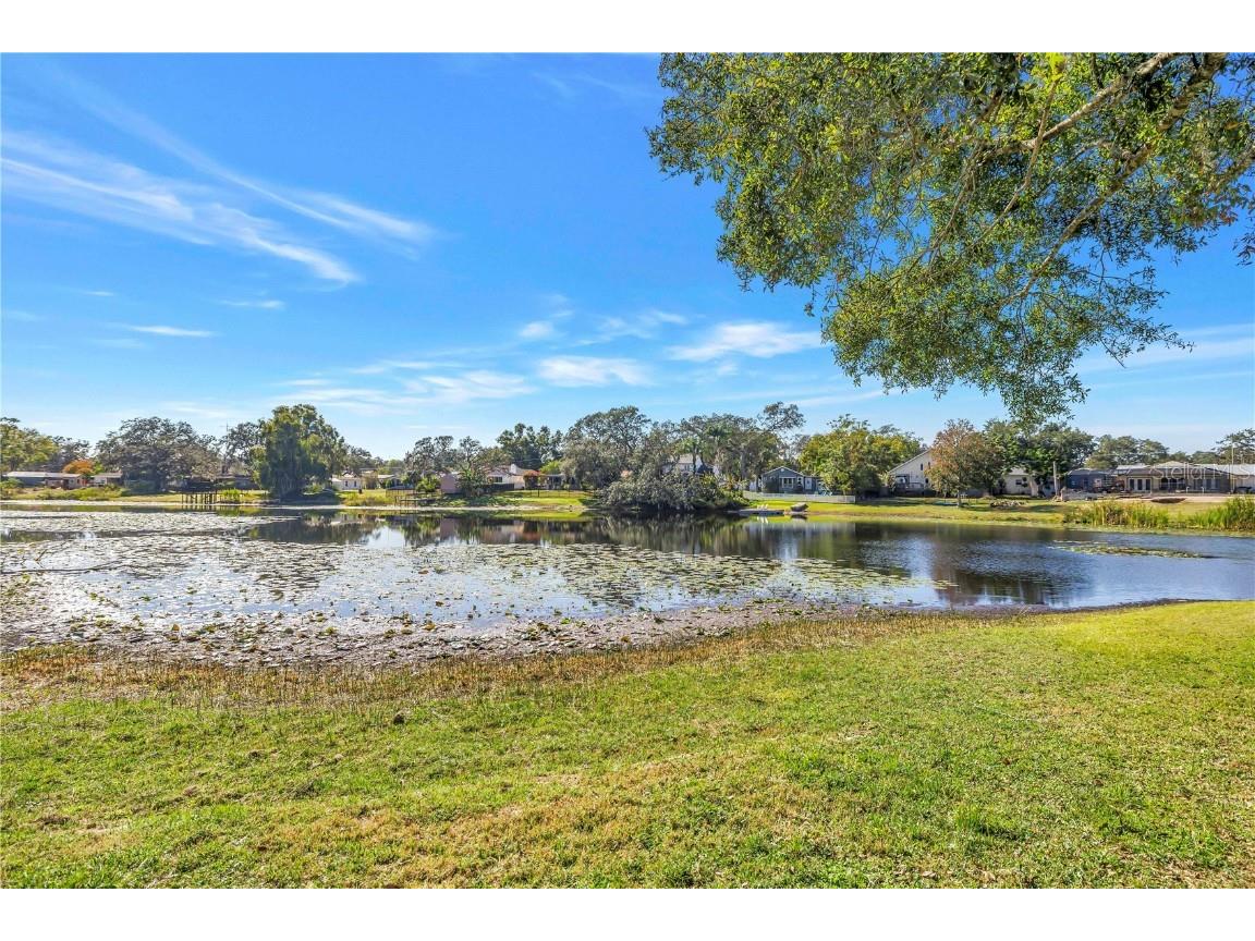 13216 Forest Hills Drive Tampa FL 33612 TB8451367 image42