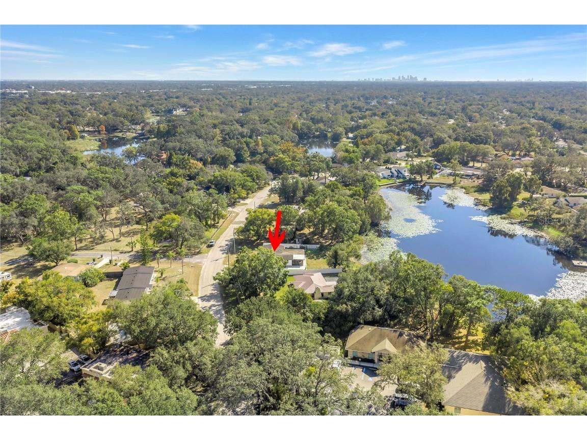 13216 Forest Hills Drive Tampa FL 33612 TB8451367 image53