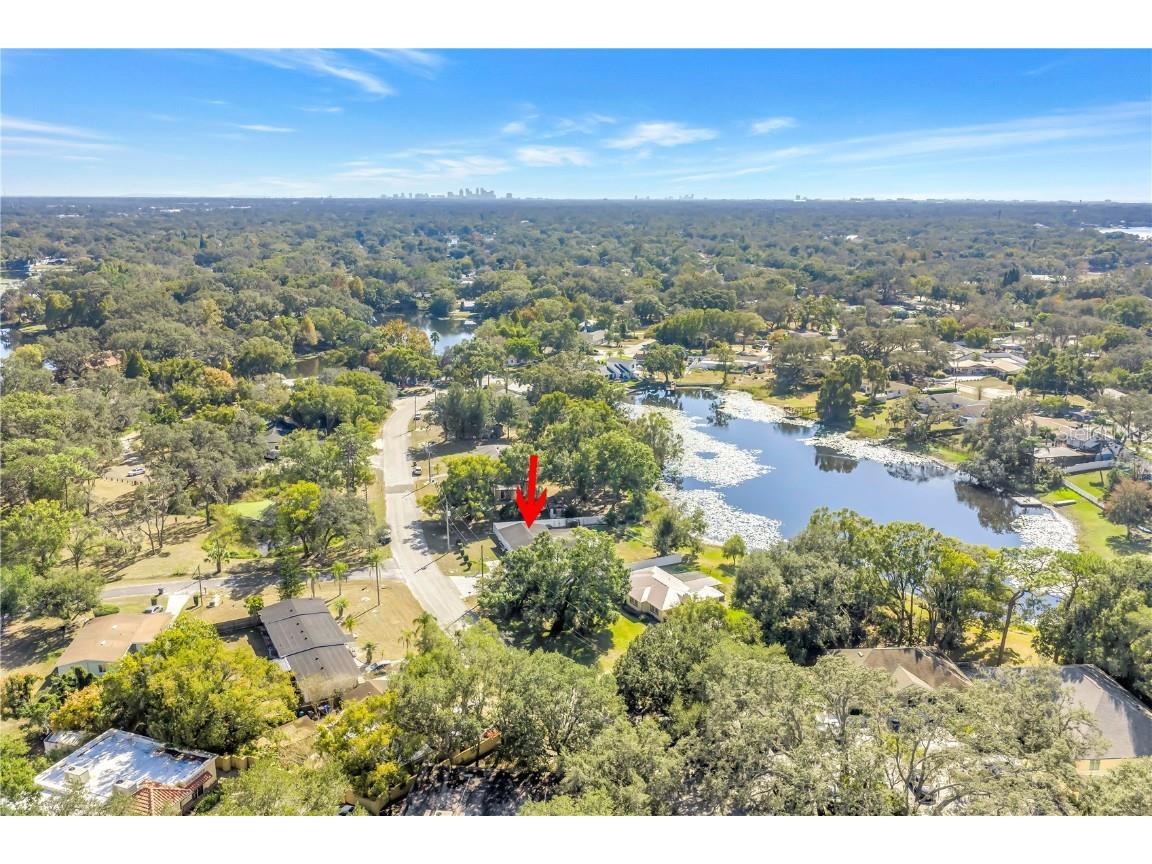 13216 Forest Hills Drive Tampa FL 33612 TB8451367 image54