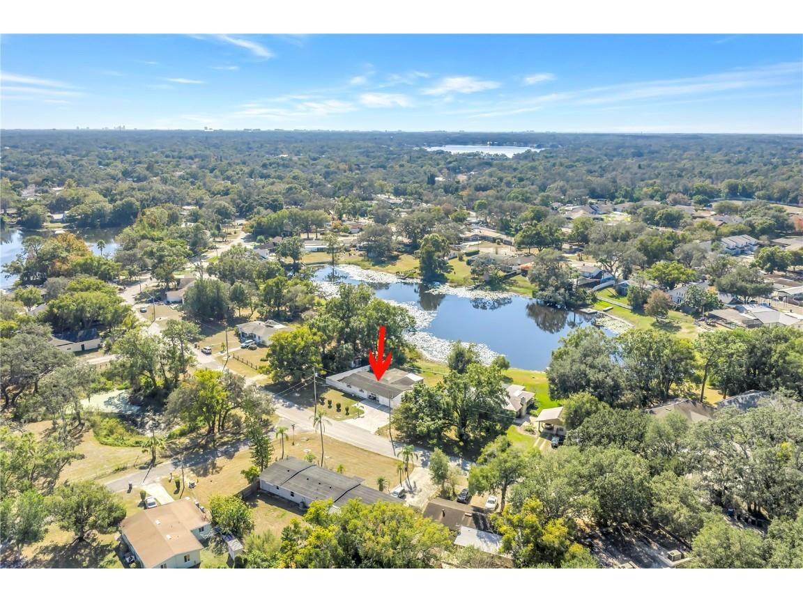 13216 Forest Hills Drive Tampa FL 33612 TB8451367 image55