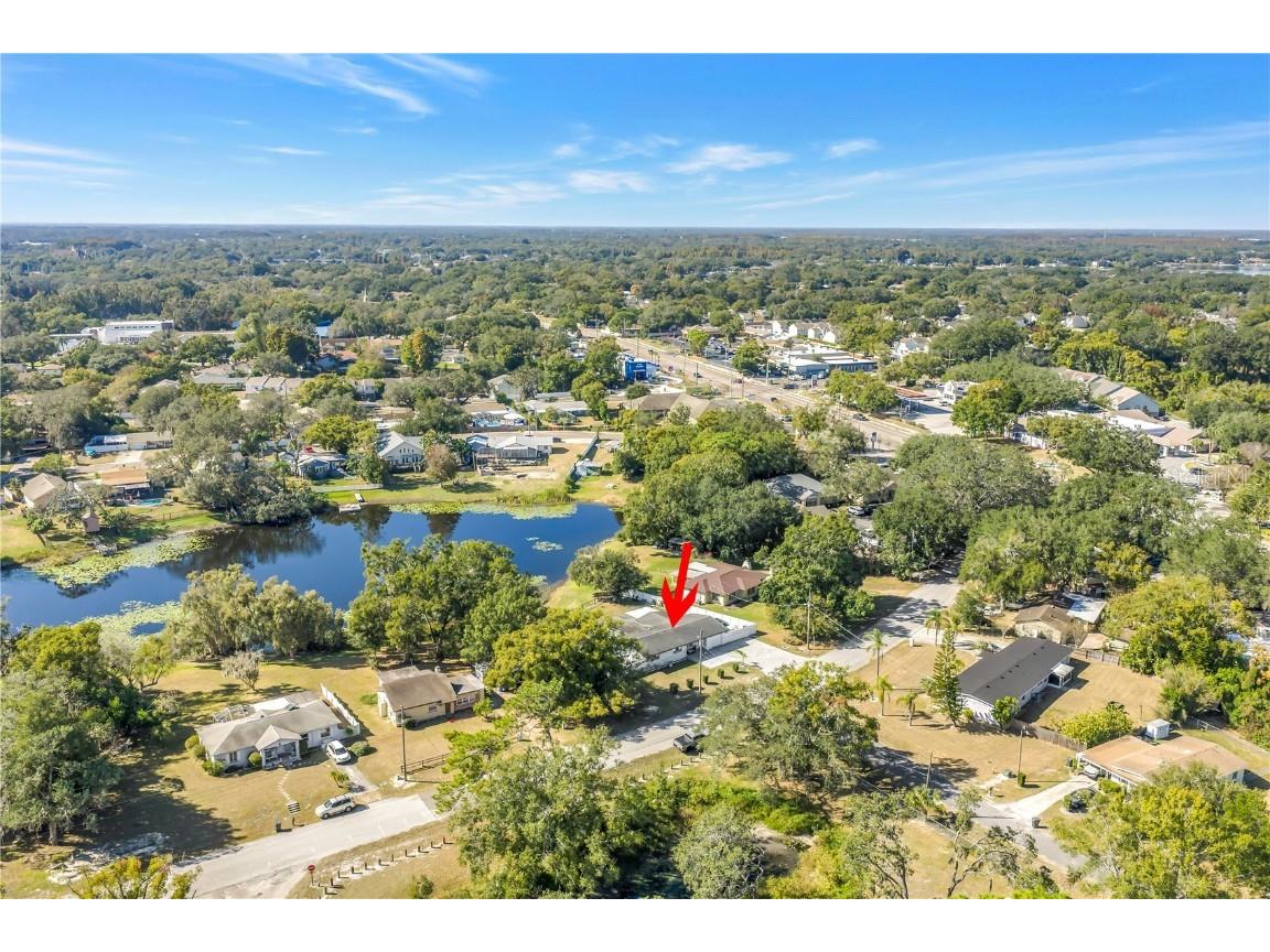 13216 Forest Hills Drive Tampa FL 33612 TB8451367 image57