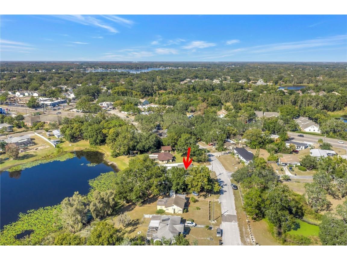 13216 Forest Hills Drive Tampa FL 33612 TB8451367 image58